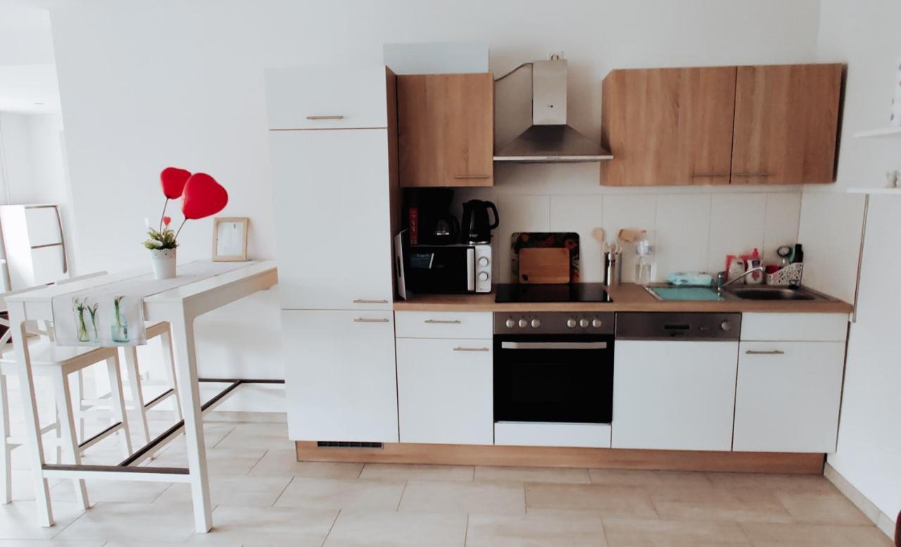Ferienwohnung Fanny ドレスデン エクステリア 写真