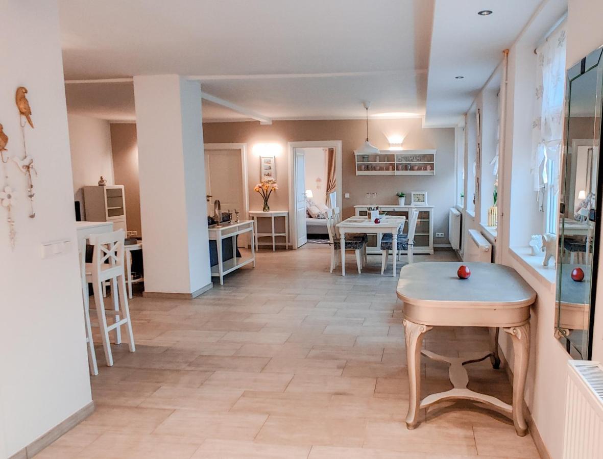 Ferienwohnung Fanny ドレスデン エクステリア 写真